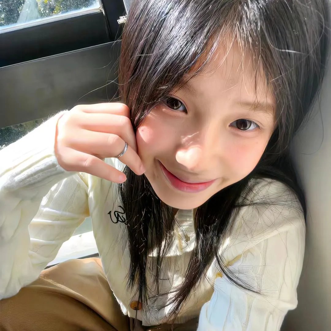 粉红学家海报